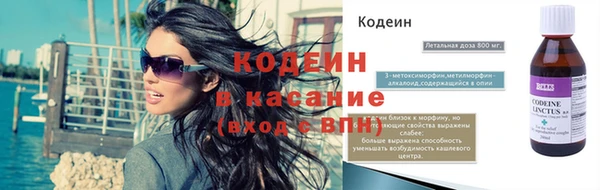 амф Вяземский
