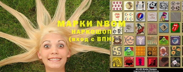амф Вяземский