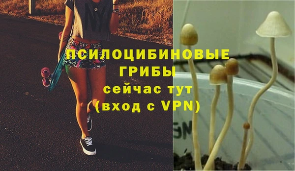 амф Вяземский