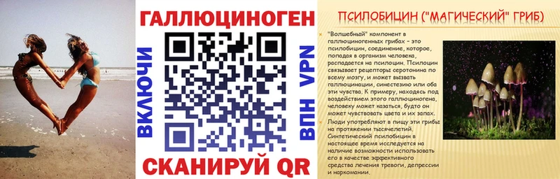 Псилоцибиновые грибы Magic Shrooms  Новомосковск 